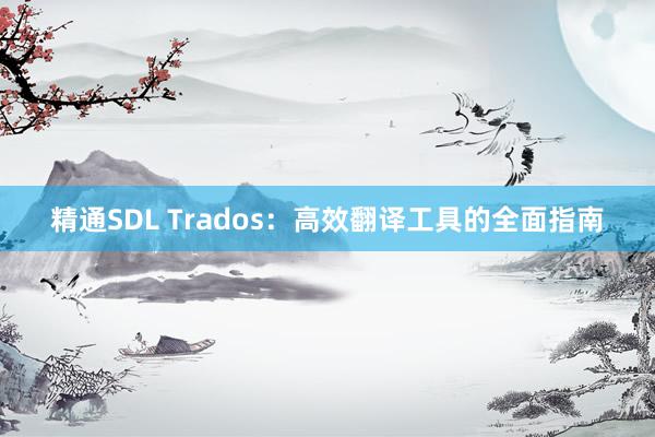 精通SDL Trados：高效翻译工具的全面指南